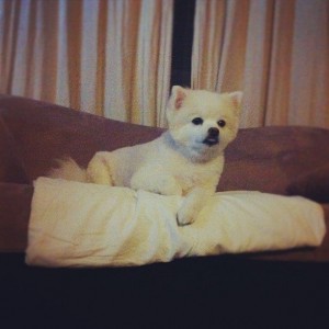 NATASHA YI | Natasha Yi&rsquo;s Official Website & the Yi-Blog