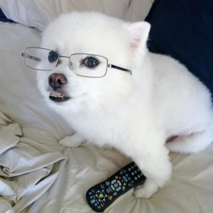 NATASHA YI | Natasha Yi's Official Website & the Yi-Blog