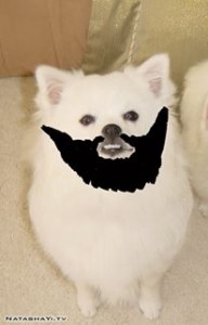 NATASHA YI | Natasha Yi's Official Website & the Yi-Blog